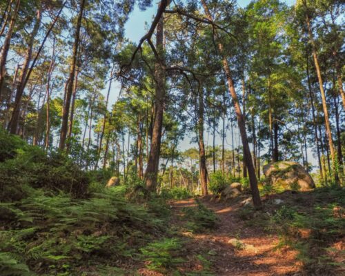 Parque Natural de Sintra-Cascais